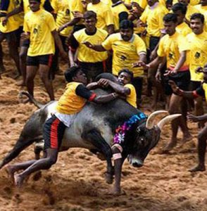 ஜல்லிக்கட்டு விவகாரம்: புதுச்சேரியில் நாளைமறுநாள் பந்த் போராட்டம் அறிவிப்பு