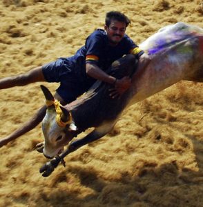 தமிழர்களின் வீரவிளையாட்டு –  முனைவர் இளசை சுந்தரம்