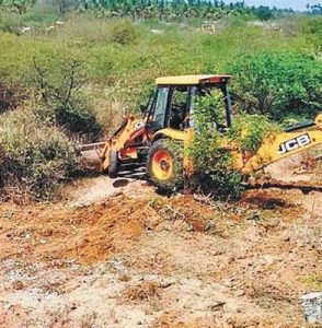 சுற்றுச்சூழல் பாதிப்பு அறிவியல் பூர்வமாக நிரூபிக்கப்படவில்லை: சீமைக்கருவேல மரங்களை வெட்ட உயர் நீதிமன்றம் இடைக்காலத் தடை