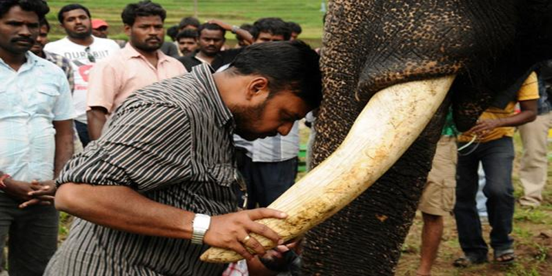 புதுமுக நடிகர்களுடன் பிரபுசாலமன் உருவாக்கும் ‘கும்கி 2’