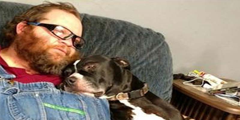 உரிமையாளரை சுட்ட நாய்; அமெரிக்காவில் வினோதம்