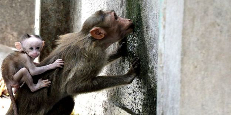 தாகத்தில் தமிழகம், அதிகரிக்கும் வன்முறைகள்: ‘கழிவுநீரே இனி குடிநீர்’