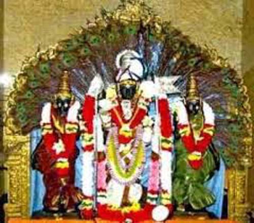 வீடியோ : தைபுசம் குமரன் குன்றம் முருகன் கோயிலின் மிகவும் கோலாஹலமாக கொண்டாடப்பட்டது