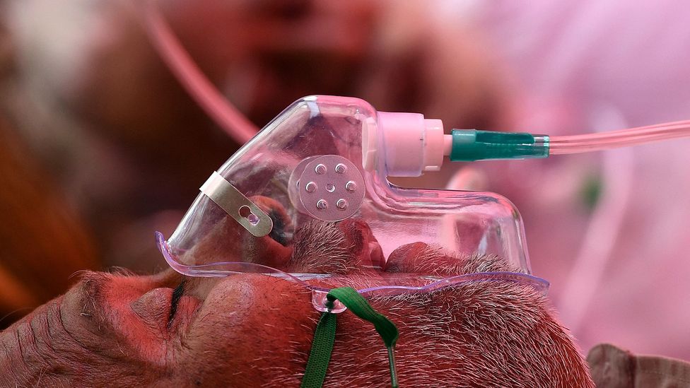 மஹாராஷ்டிராவில் கரும்பூஞ்சையினால் 729 பேர் உயிரிழப்பு !!