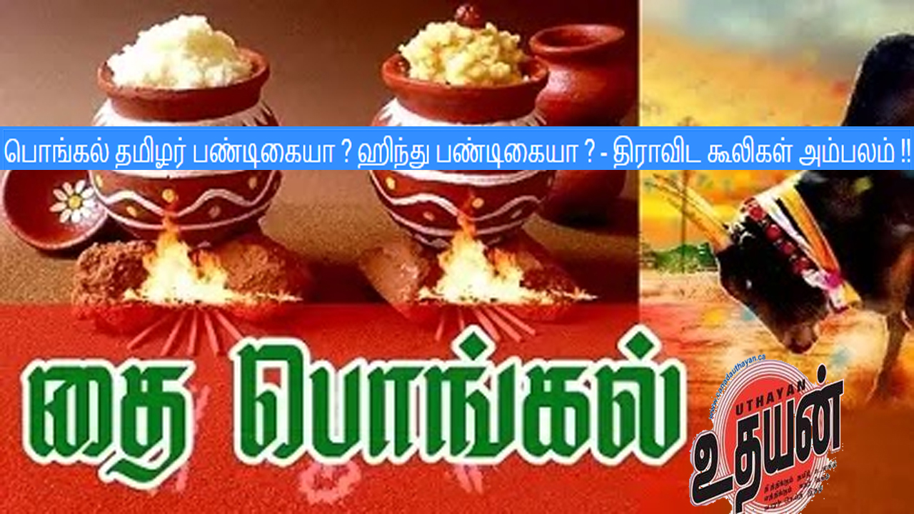 பொங்கல் தமிழர் பண்டிகையா ? ஹிந்து பண்டிகையா ? – திராவிட கூலிகள் அம்பலம் !!