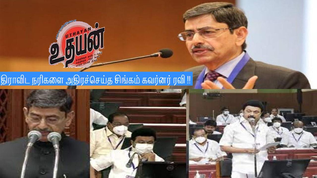 திராவிட நரிகளை அதிரச்செய்த சிங்கம் கவர்னர் ரவி !! திராவிட நரிகளை அதிரச்செய்த சிங்கம் கவர்னர் ரவி !!
