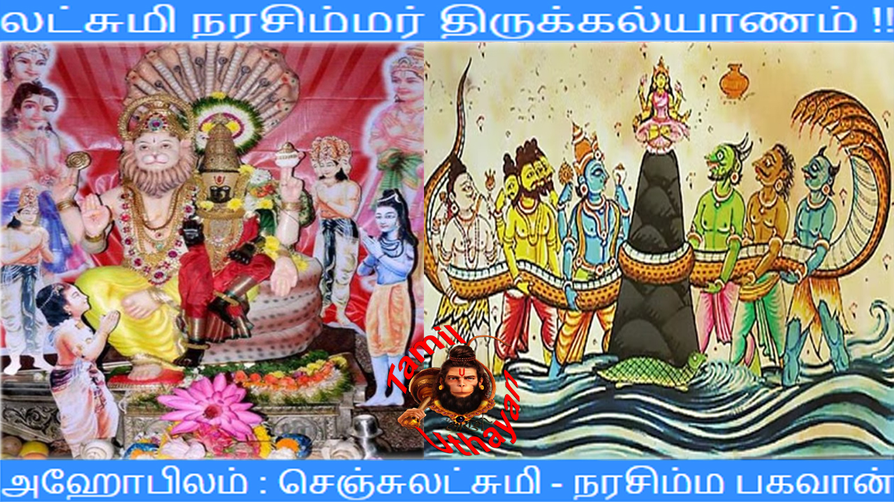 லட்சுமி நரசிம்மர் திருக்கல்யாணம் !!