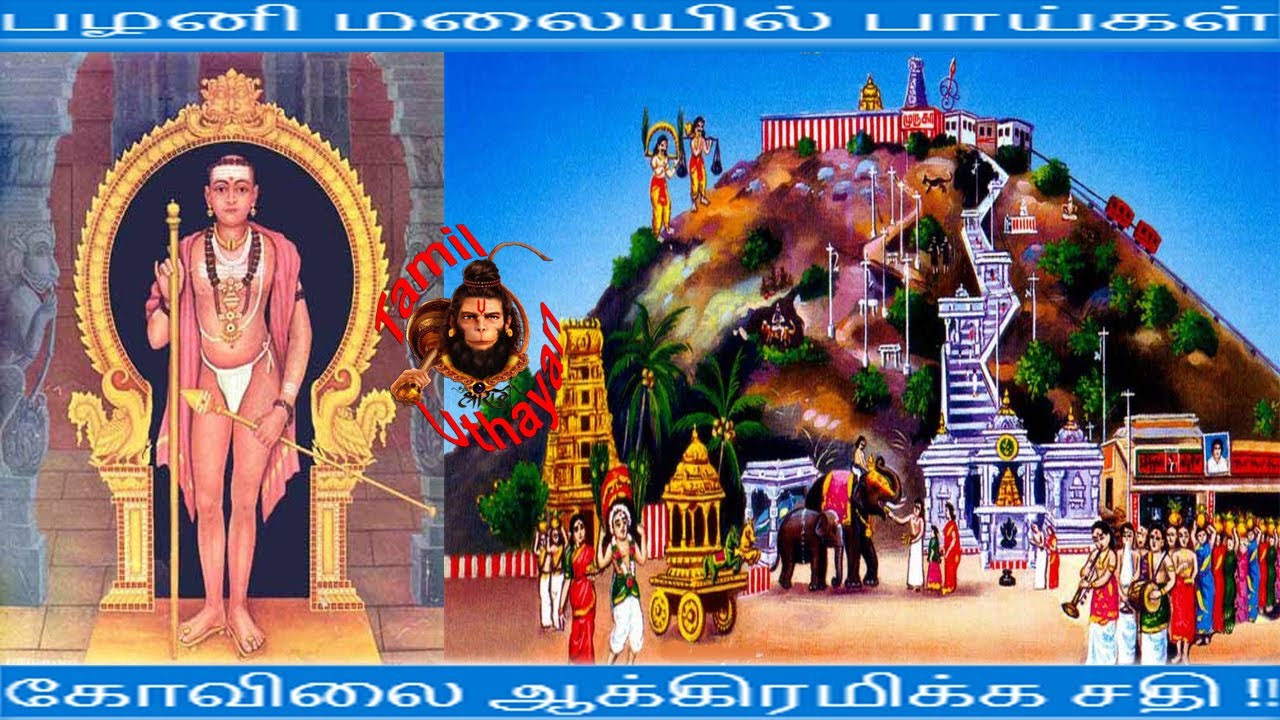 பழனி மலையில் பாய்கள் – கோவிலை ஆக்கிரமிக்க சதி !!