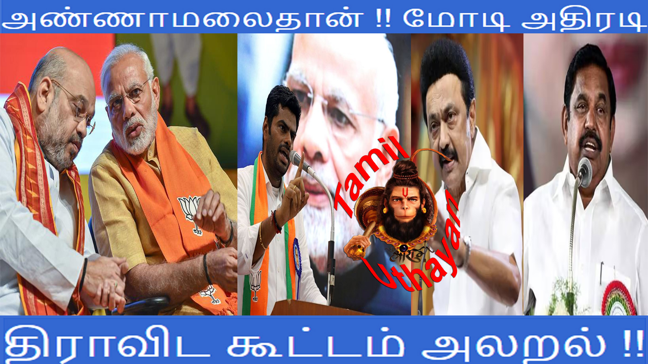 அண்ணாமலைதான் !! மோடி அதிரடி – திராவிட கூட்டம் அலறல் !!